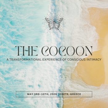 The-Cocoon-Produktbild
